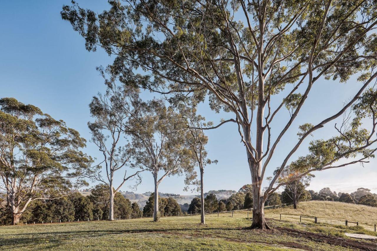 99 Acres Bangalow Retreat Exteriér fotografie